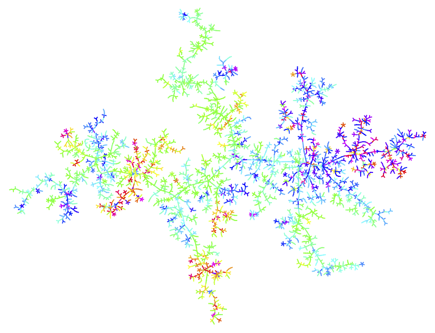 Tree-indexed process illustration
